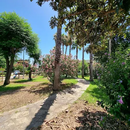 Sima Homestay szállás *